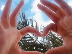 -东方饺子王(新奥购物中心店)