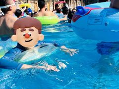 -重庆海昌加勒比海水世界