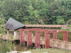 -神光山国家森林公园