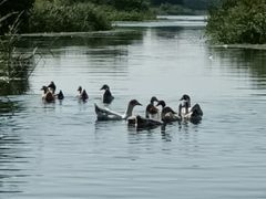 -乡乐园蟹庄·阳澄湖农家乐