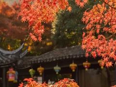 -惠山古镇·寄畅园