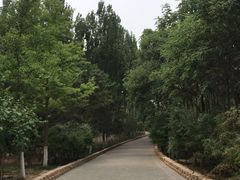 -大兴滨河森林公园