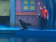 -华夏文旅海洋公园