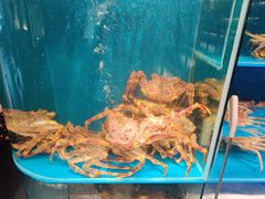 -蟹田居·活蟹料理(东城店)