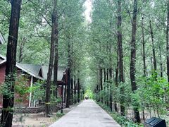 -林栖谷森林康养度假区
