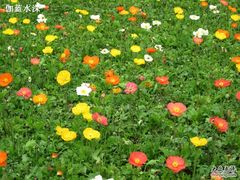 -保利石象湖景区