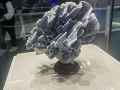 -上海中国航海博物馆