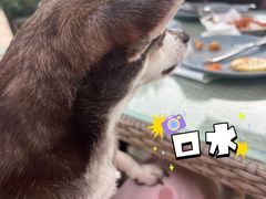 -Lets burger非常汉堡·环球风味(蓝色港湾店)