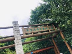-牛背梁国家森林公园