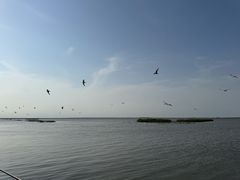 -卧龙湖