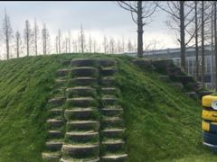 -前小桔亲子创意农场·草莓采摘·露营烧烤