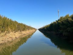 -黄海国家森林公园