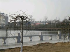 -八大山人游乐世界