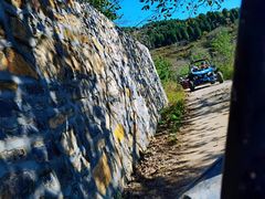 -南山特攻真人CS户外露营轰趴拓展基地