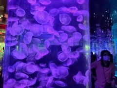 -石家庄海洋公园