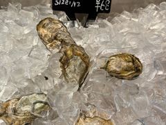 -Oyster Talks 四度蚝法餐厅