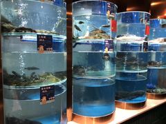 -香坝坝鲜鱼火锅(春熙路店)