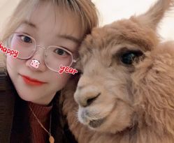 -Moni星球萌宠·小马宝莉·灵蛇·高端高阶全萌宠互动体验俱乐部(红豆国际广场店)