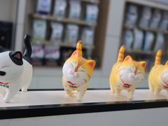 -凯瑞希宠物医院·狂犬免疫·微创·皮肤科