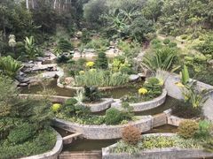 -南宁荔园维景国际酒店·荔园中餐厅