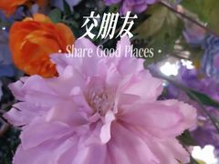 -南屏步行街