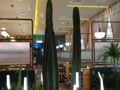 -润园四季椰子鸡火锅(南山海岸城店)