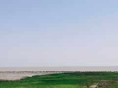 景点-南汇嘴观海公园