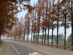 -东钱湖旅游度假区