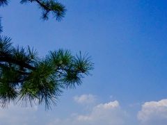 -台场海滨公园船码头