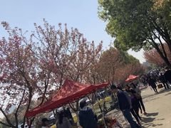 -无锡市乌鹤山公墓办事处