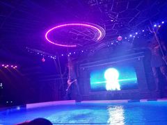 -哈尔滨波塞冬海底世界