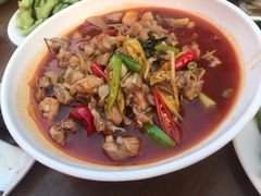 馋嘴蛙仔-杨氏青龙虾·羊蝎子(托乐嘉店)