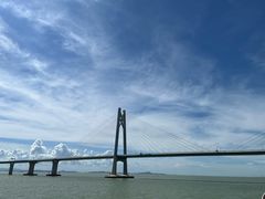 -招商蛇口邮轮母港(观光客运)