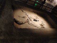 -洛阳周王城天子驾六博物馆