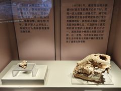 -咸宁市博物馆