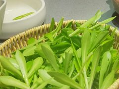 -巴奴毛肚火锅(悠唐购物中心店)
