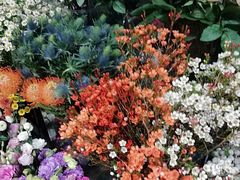 -ChaKo Flora ·茶子花艺 (市北店)