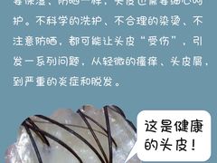 -中国农业大学(西校区)