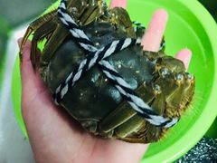 -丫丫蟹庄·苏式园林农家乐·阳澄湖大闸蟹(阳澄湖莲花岛店)