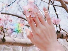 -桃花堤公园