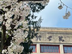 -武汉大学-樱园