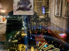 -影汇之星8字形摩天轮