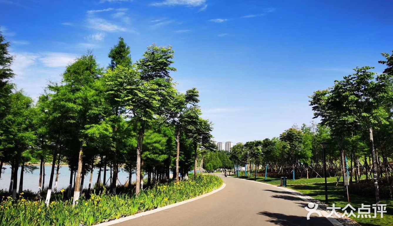 我们是把车停在山语桃源售楼部门口，然后环湖一圈