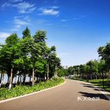 我们是把车停在山语桃源售楼部门口，然后环湖一圈