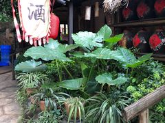 -五邑人家(江门店)