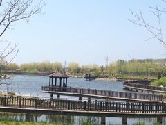 -羊亭河湿地公园