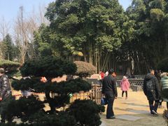 -水绘园