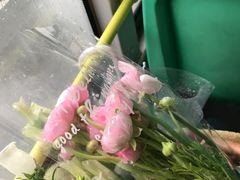 -循礼门鲜花花市(武汉循礼门店)