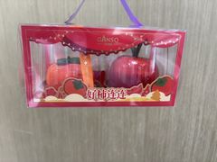 -GANSO元祖食品(西安含光路店)