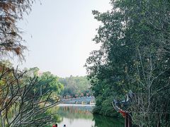 -金山植物公园